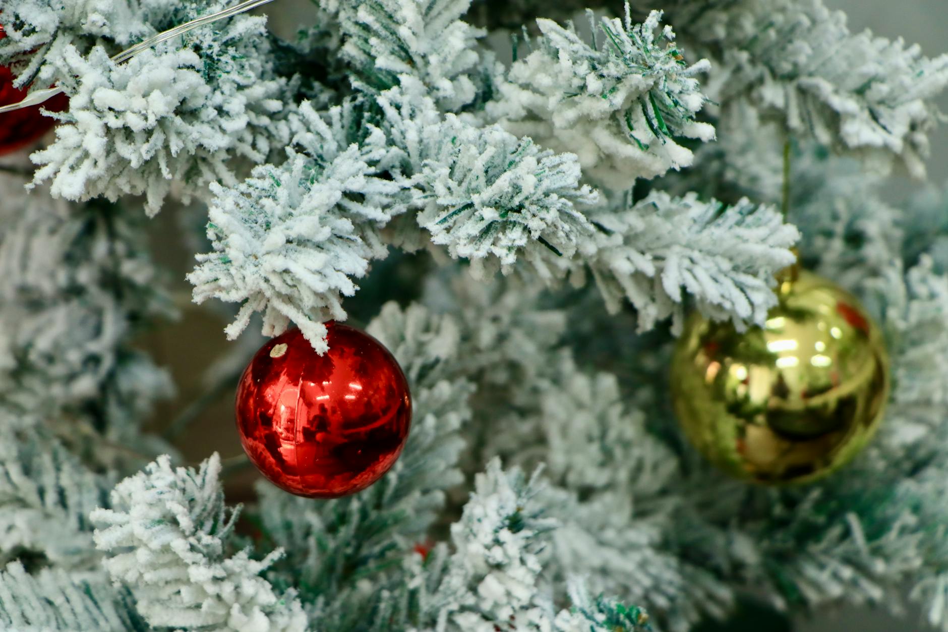 festive christmas tree with red and gold ornaments