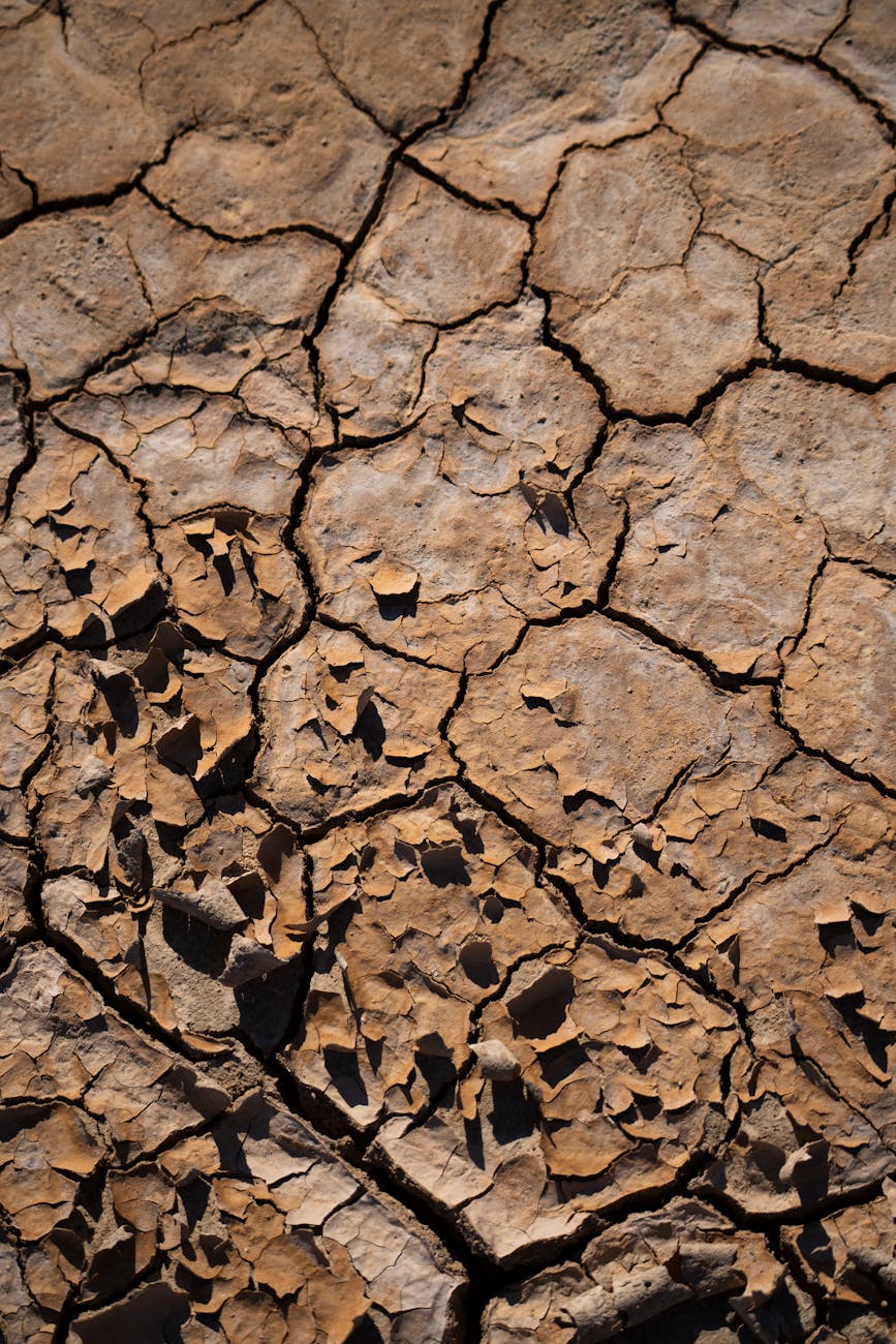 dried ground in death valley national park in united states