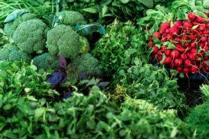 green and red vegetable plants in the market